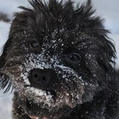 David Mackinnon's photo