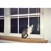 Jeffery Bray's photo