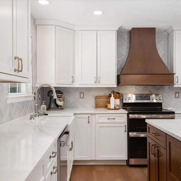 Whole House Remodel - West River, MD
