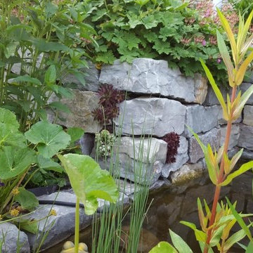 Blütenvielfalt im Hausgarten