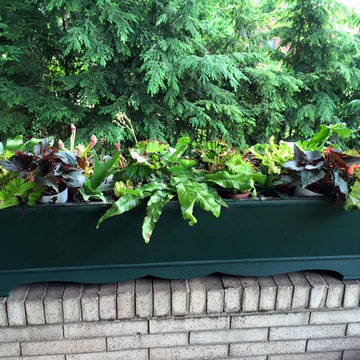 Container Gardens