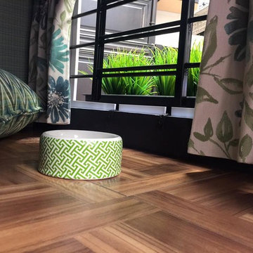 The BarK Puplick House