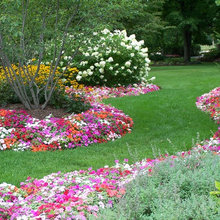 Debdash/Landscape Ideas