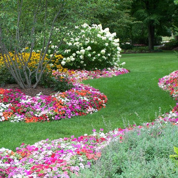 Seasonal Annual Beds