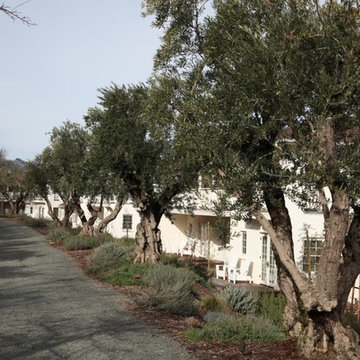 Indian Springs Resort