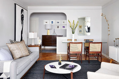 Design ideas for a contemporary living room in New York.