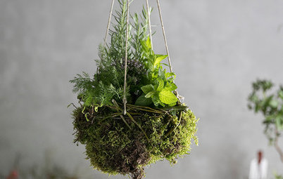 Hazlo tú mismo: Un kokedama con plantas aromáticas para la casa