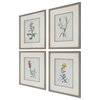 Uttermost Heirloom Blooms Study Framed prints 4-Piece Set