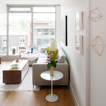Mini Condominium