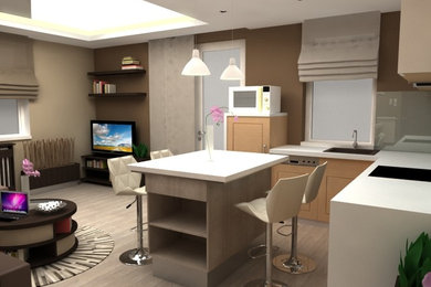 Living room - mid-sized modern living room idea in Other
