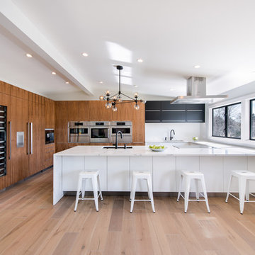 Flat Panel Walnut with Matte Acrylic custom IKEA kitchen