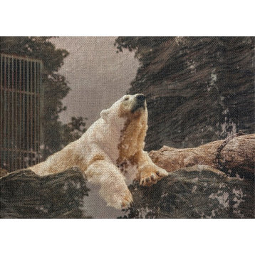 Polar Bear Area Rug, 5'0"x7'0"