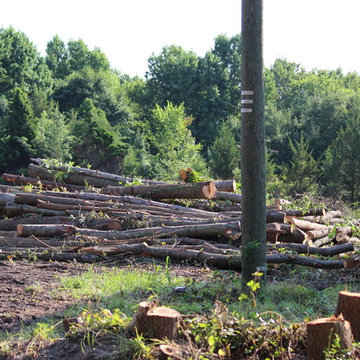 Virginia Beach Lot Clearing