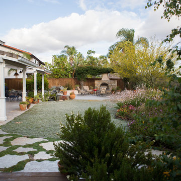 Xeriscape Landscape - Lush Green with Low-Water Plants