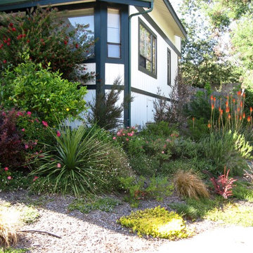 Lawn replacement design