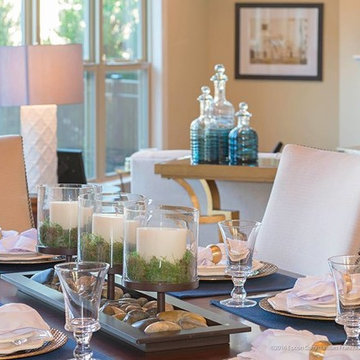 Active Adult Living