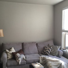 Living Room Ideas