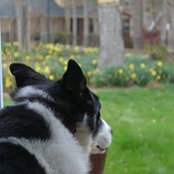 Caroline Grossman's photo