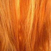 Riva Weinsteins foto