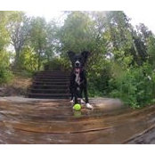 Holly Green's photo
