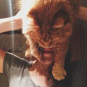 Jenny Seigle's photo