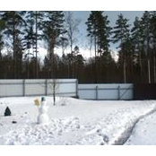 Dmitri Sokolov's photo