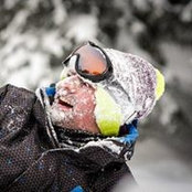 Adrien Joret's photo