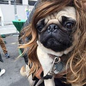 Jenna Cafiero's photo