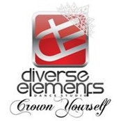 Diverse Elements's photo