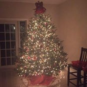 Patricia Camblor's photo