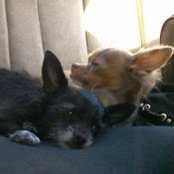 Bill & Barbie DeCora's photo