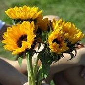 Jennifer Cottrell's photo