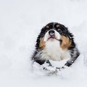 Conor Byrne's photo