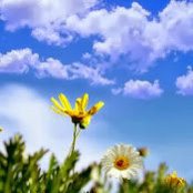 atef mulla's photo
