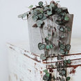 Foto de perfil de Concrete Pots