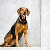 Marisha Hamilton's photo