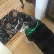 Laura Gagne's photo