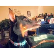 Ann Abercrombie's photo
