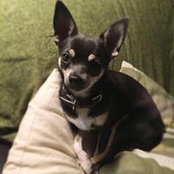 Julie Brown's photo
