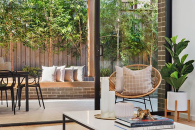 This is an example of a small contemporary backyard patio in Sydney with a roof extension.