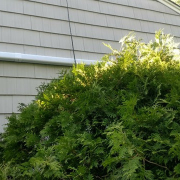 Daikin EMURA 6 zone in Cresskill NJ