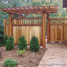 Landscape Ideas