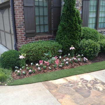Annual Beds