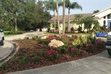 Photo of a front yard xeriscape in Tampa with mulch.