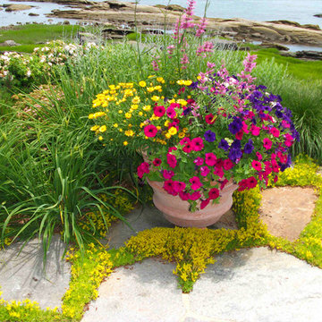 Container Gardens