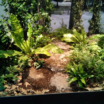 Quiero entrar a mis oficinas y acordarme de mi pueblo.