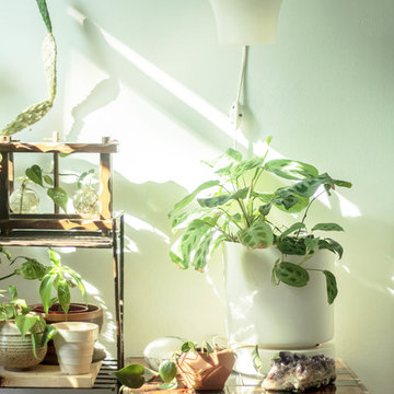 My Houzz: Vintage Collectors' Artfully Curated Walk-Up