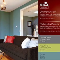 One Coat&trade; Paint - Paint