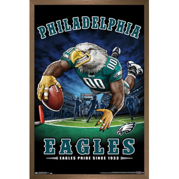 NFL Philadelphia Eagles - End Zone 17
