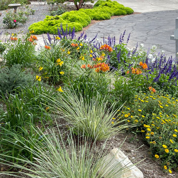 Yellow, orange, purple, and white plant pallette